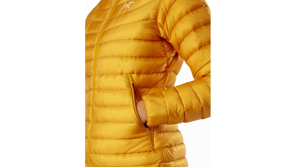 Arcteryx Cerium LT Hoody - Womens, Quantum, Large, 415332