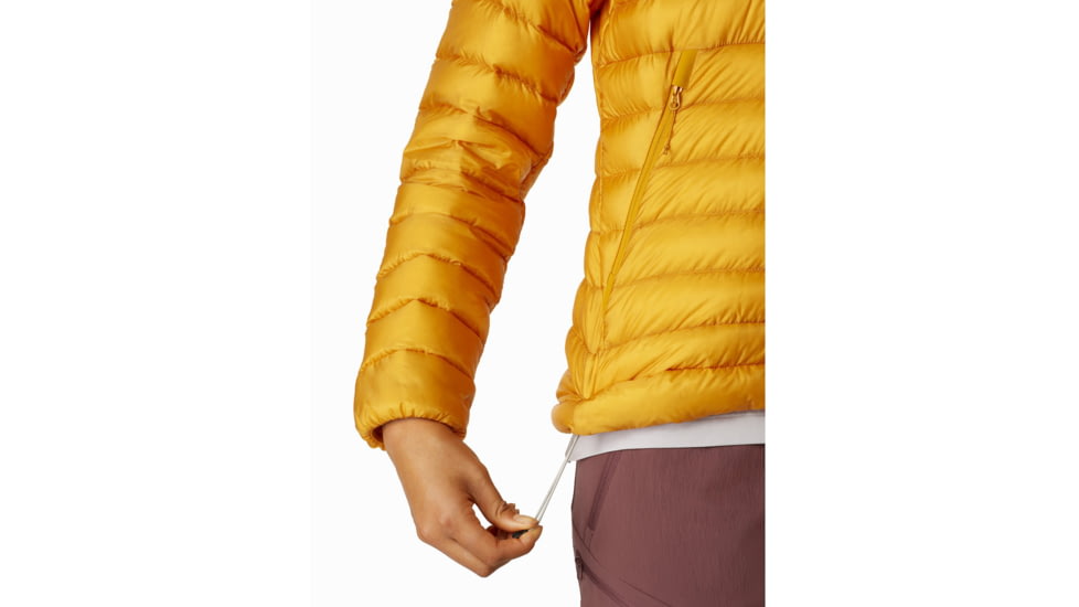 Arc'teryx Cerium LT Hoody - Women's, Quantum, Large, 415332