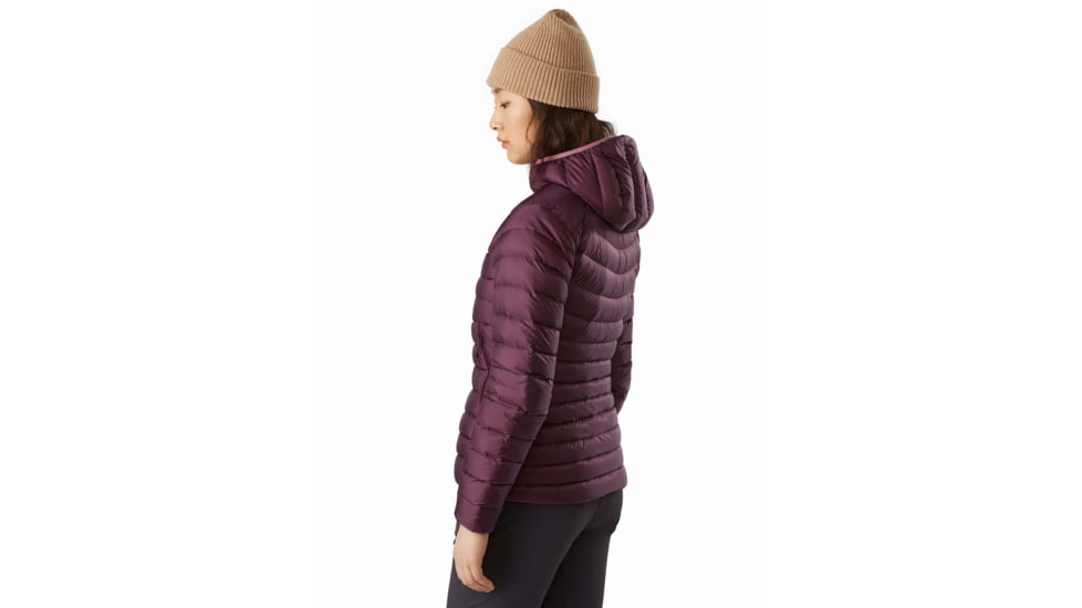Arcteryx Cerium LT Hoody - Womens, Rhapsody, Small, 434020