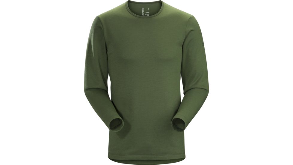 ArcTeryx Dallen Fleece Pullover- Mens, Larix, Medium, 372384