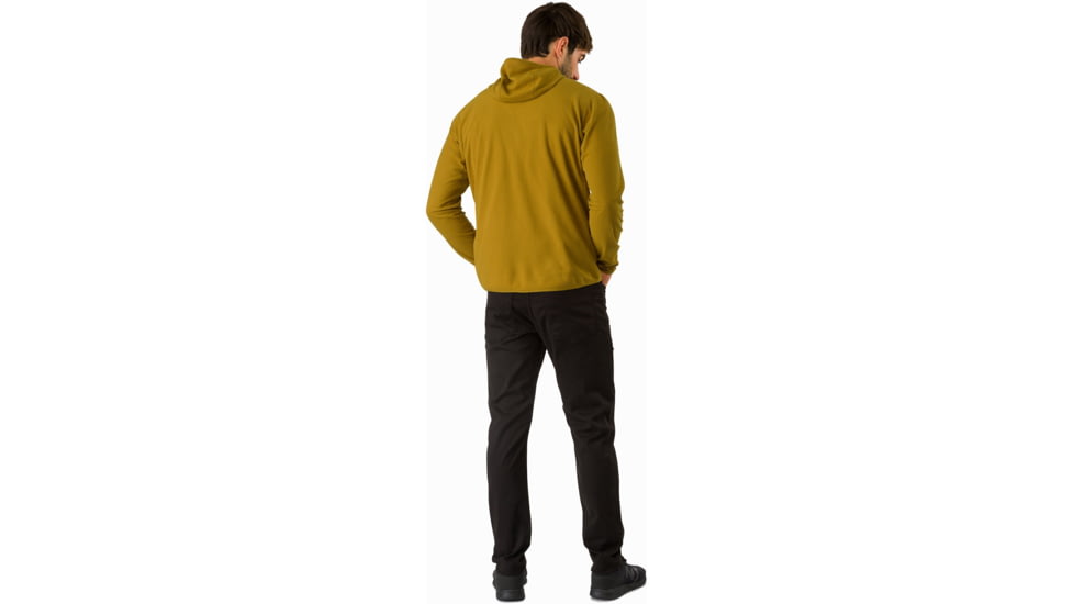 Arcteryx Delta LT Hoody - Mens, Yukon, 2XL, 375377