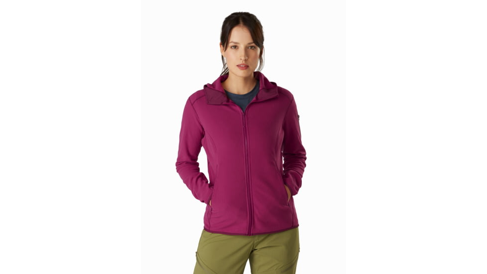 Arcteryx Delta LT Hoody - Womens, Dakini, Medium, 415543