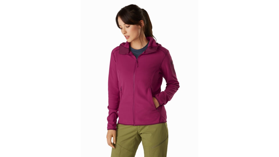 Arcteryx Delta LT Hoody - Womens, Dakini, Medium, 415543