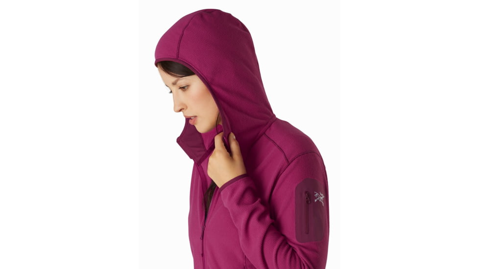 Arcteryx Delta LT Hoody - Womens, Dakini, Medium, 415543