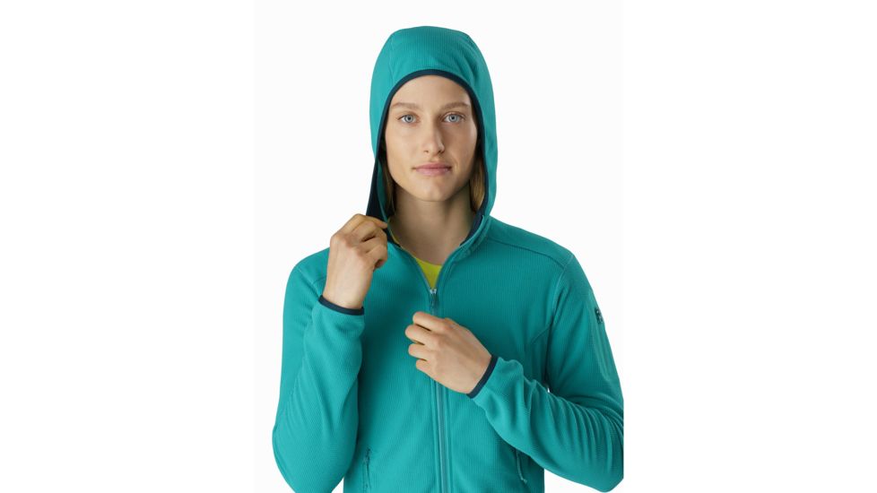 Arcteryx Delta Lt Hoody - Womens, Illusion, Small, 392090