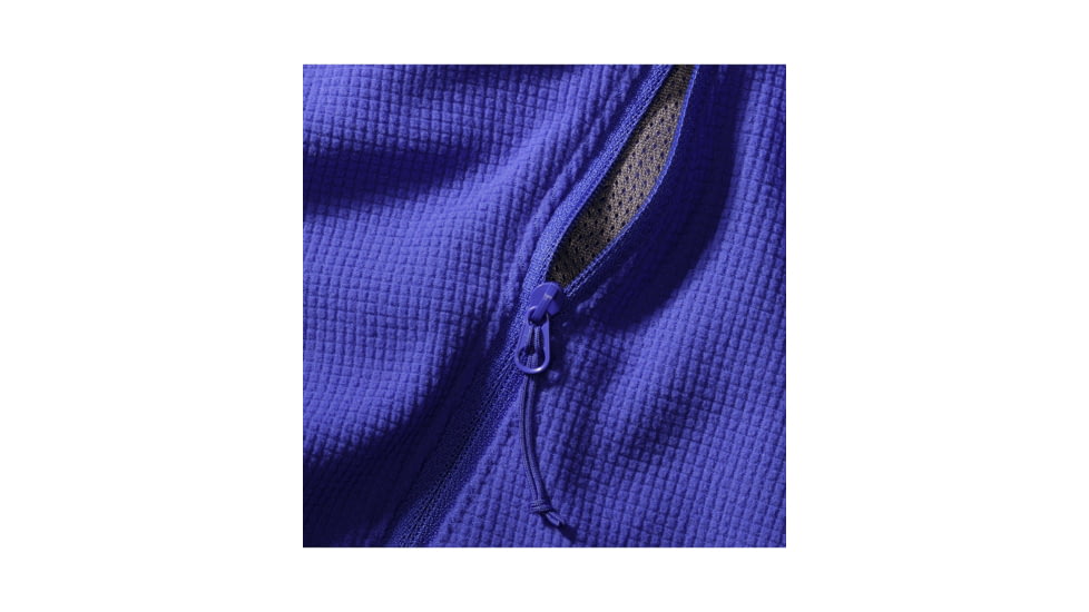 Arcteryx Delta LT Hoody - Womens, Iolite, Extra Large, 374328