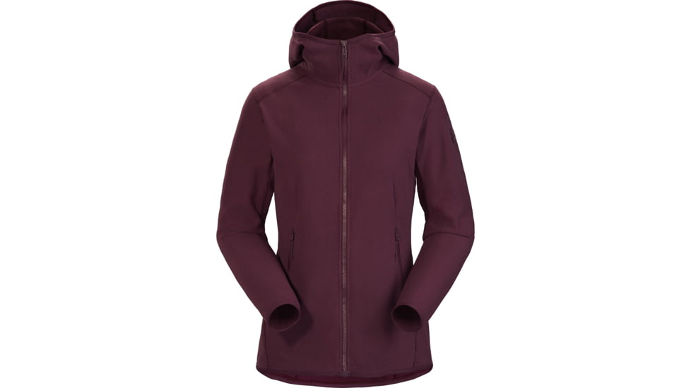 Arcteryx Delta LT Hoody - Womens, Rhapsody, Medium, 434321