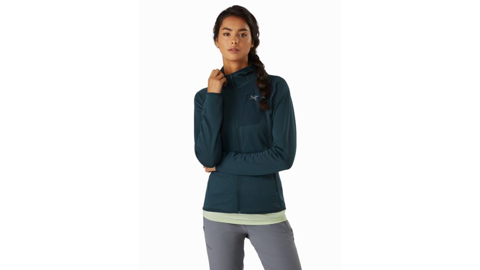 Arcteryx Delta MX Hoody - Womens, Labyrinth, Large, 415518
