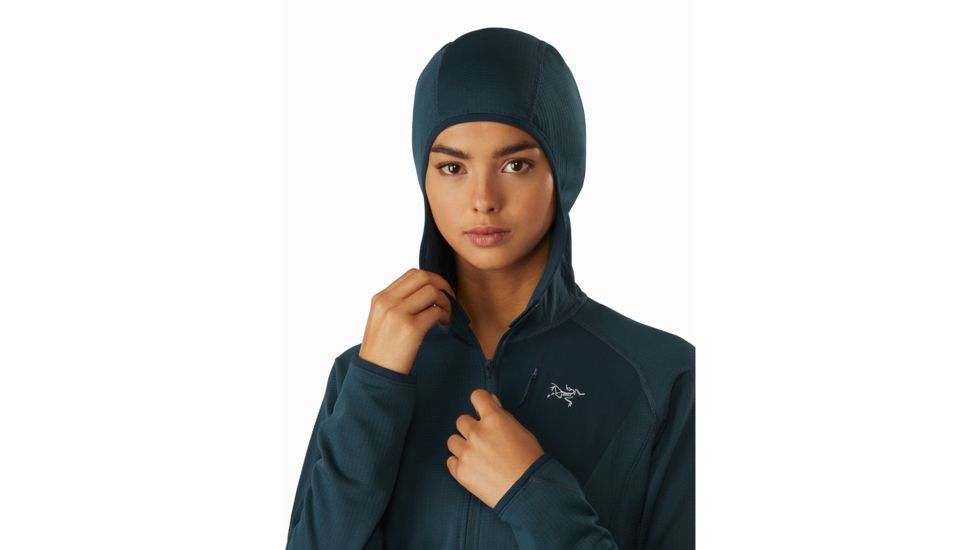 Arcteryx Delta MX Hoody - Womens, Labyrinth, Large, 415518