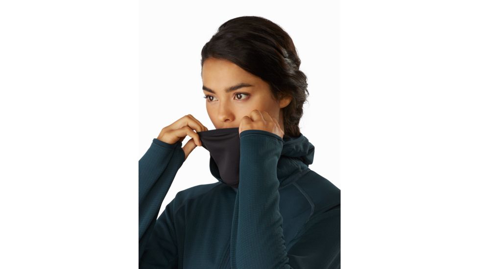 Arcteryx Delta MX Hoody - Womens, Labyrinth, Large, 415518