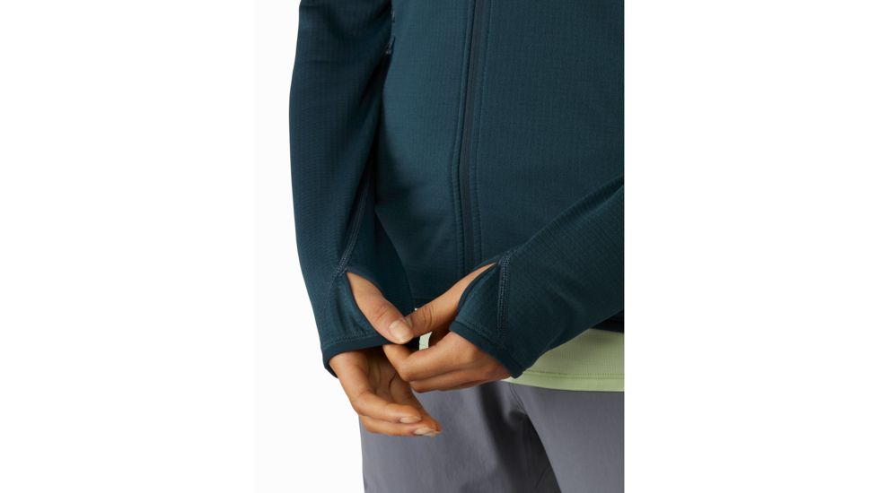 Arcteryx Delta MX Hoody - Womens, Labyrinth, Large, 415518