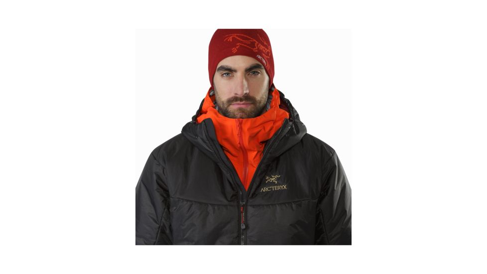 Arcteryx Dually Belay Parka - Mens, Black, Large, 154455