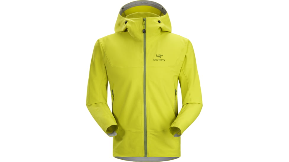Gamma LT Hoody - Mens-Genepi Green-Small
