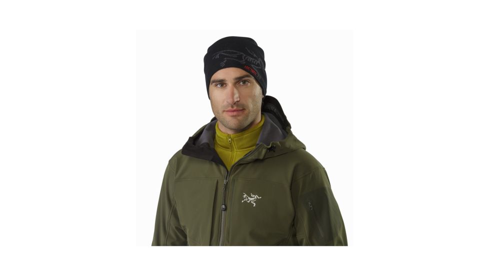 Arcteryx Gamma MX Hoody - Mens, Gwaii, Extra Large, 350028