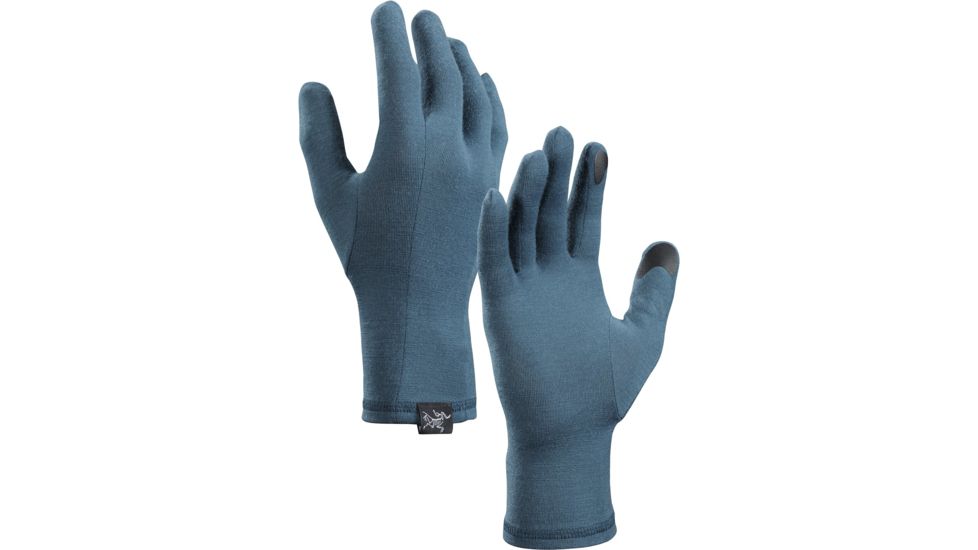 Arcteryx Gothic Glove - Unisex, Ladon, Medium, 396158