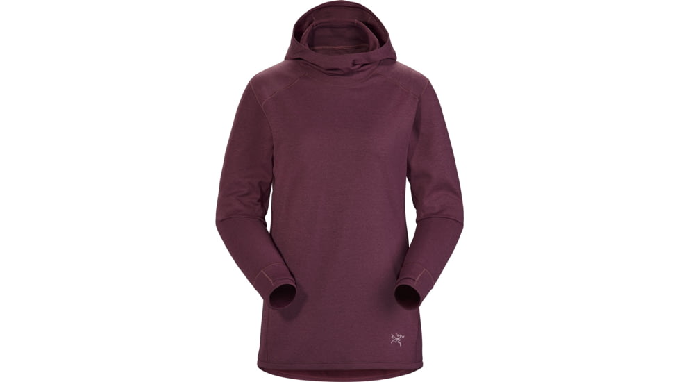 Arcteryx Motus AR Hoody - Womens, Rhapsody Heather, Medium, 442223