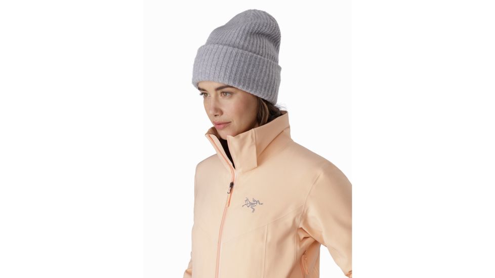 Arcteryx Ravenna Jacket - Womens, Elixir, Extra Small, 389604