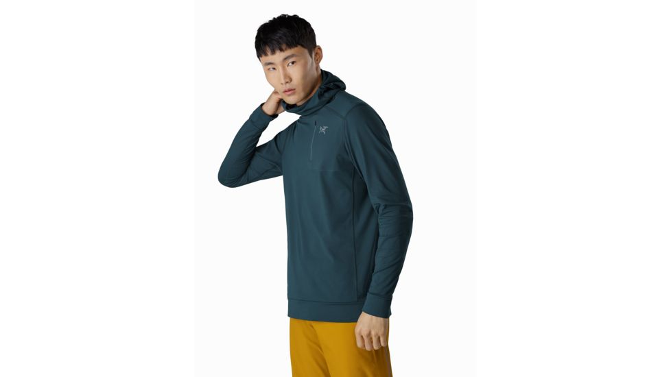 Arcteryx Stryka Hoody - Mens, Labyrinth, Large, 393486