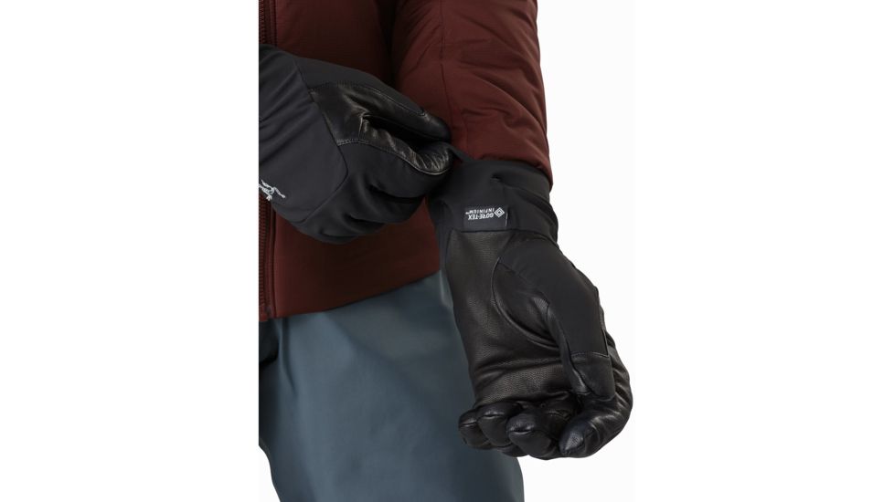 Arcteryx Venta Ar Glove - Unisex, Black, Large, 396152