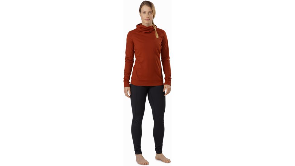 Arcteryx Vertices Hoody - Womens, Dark Sunhaven, Large, 393641