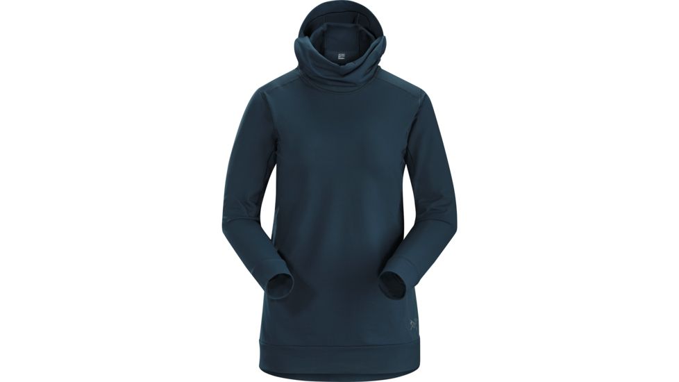 Arcteryx Vertices Hoody - Womens, Labyrinth, Large, 393635