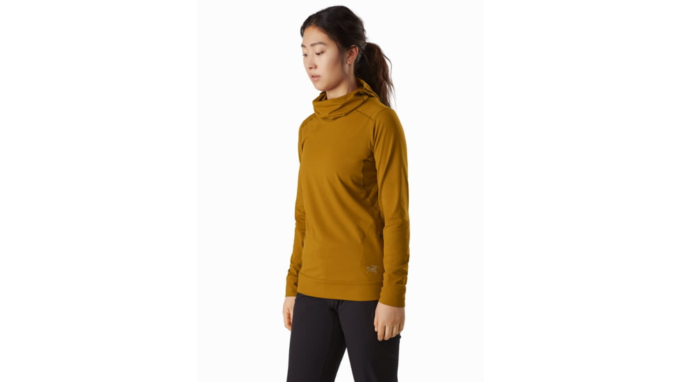Arcteryx Vertices Hoody - Womens, Sundance, Small, 441312