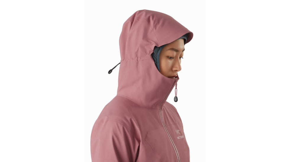 Arcteryx Zeta AR Jacket - Womens, Momentum, Small, 436991