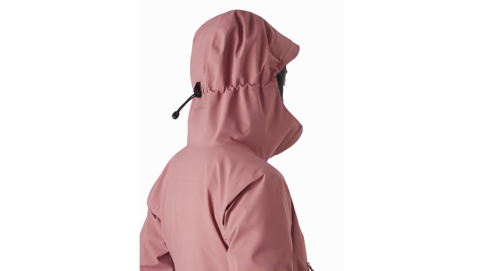 Arcteryx Zeta AR Jacket - Womens, Momentum, Small, 436991