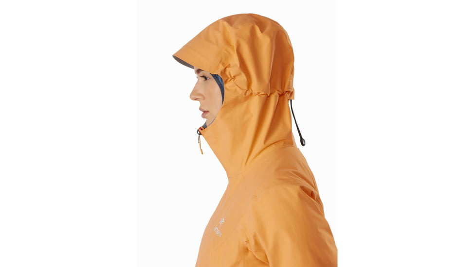 Arcteryx Zeta SL Jacket - Womens, Neoflora, Extra Small, 419004