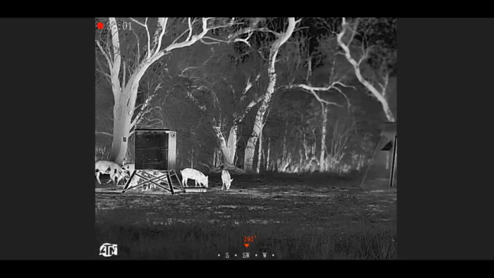 ATN BlazeSeeker-207 1-8.8x Thermal Imaging Monocular 12 Micron, 256x192, Black, TIMNBLS207