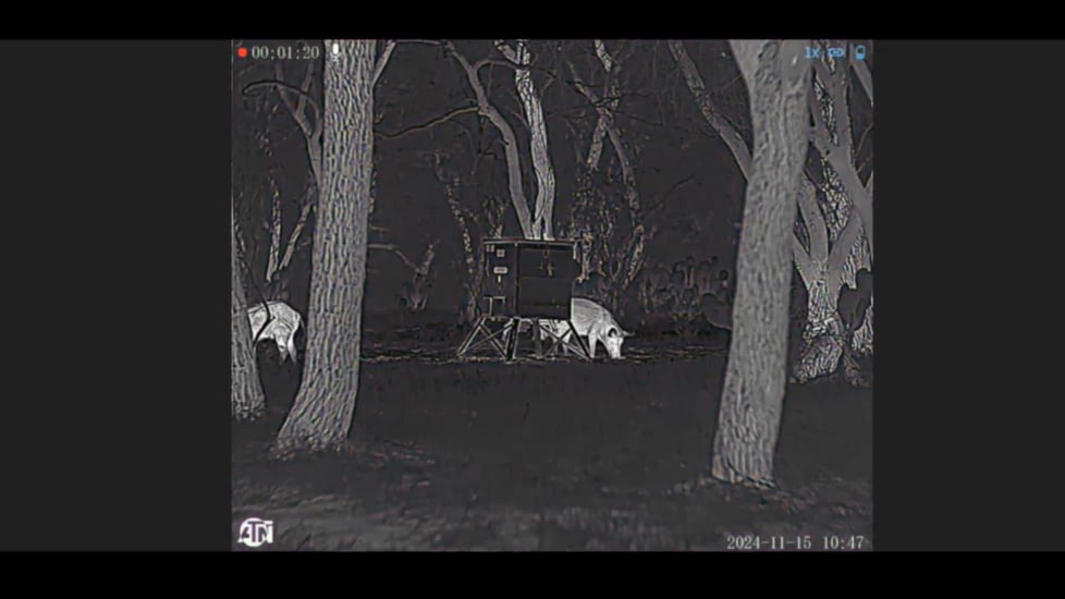 ATN BlazeTrek-319 2x - 16x Thermal Imaging Monocular 12 Micron, 384x288, Black, TIMNBLT319