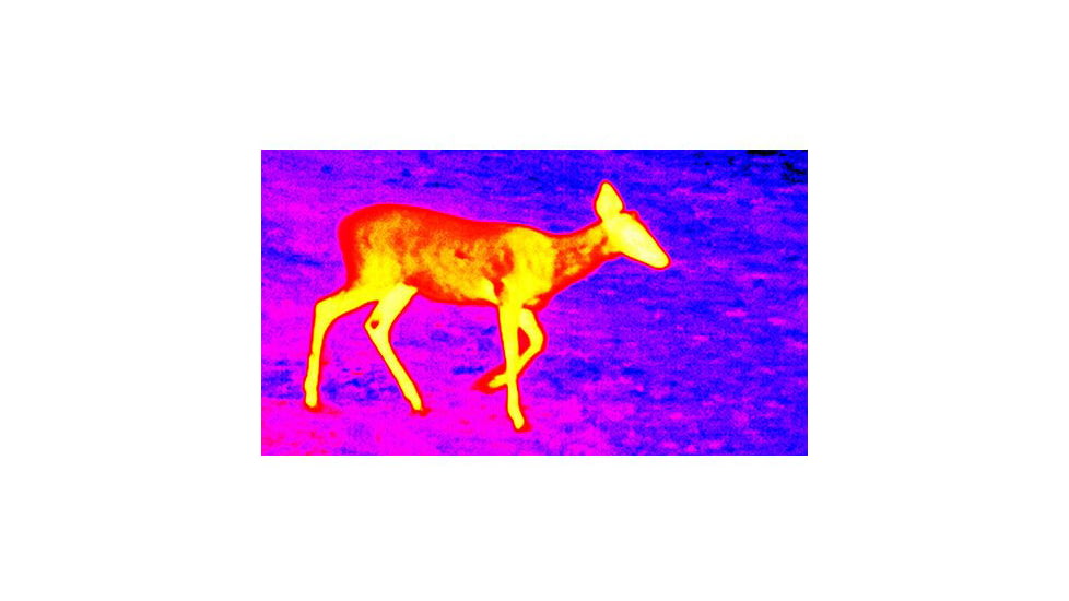 ATN OTS 4T, 1.25-5x, 384x288, Thermal Viewer w/ Full HD Video rec, WiFi, Smooth zoom, iOS/Android Controlling App, Black, TIMNO4381A