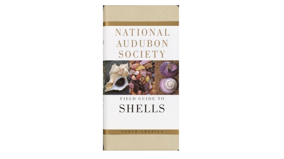 Audbn Fg Seashells, Harald Rehder, Publisher - Random House