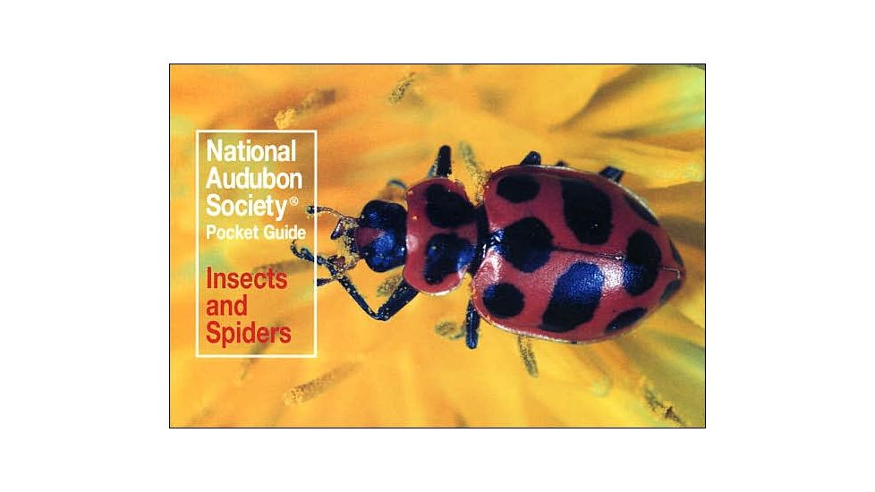 Audbn Pg Insects &amp; Spider, John Farrand, Publisher - Random House