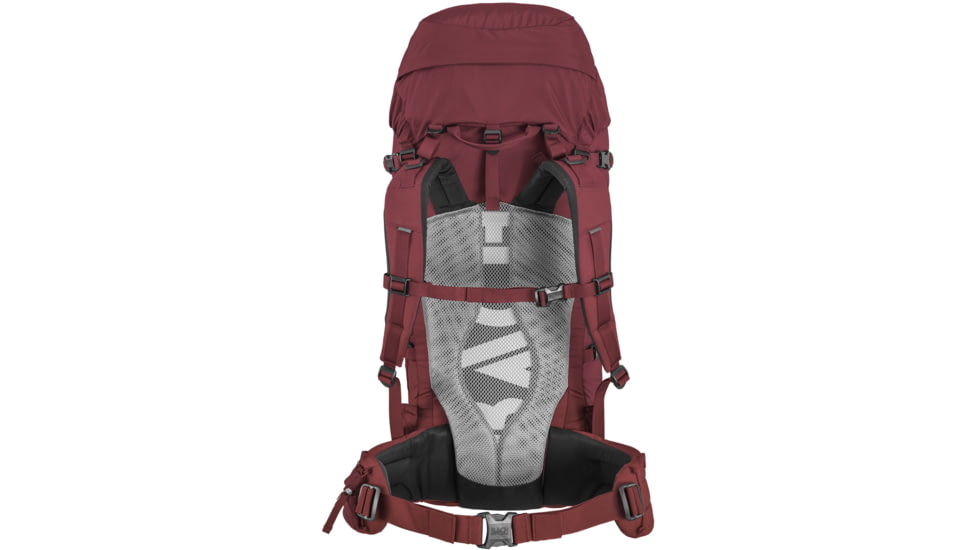 BACH Daydream 50 Pack, Red dahlia, Long, 2899297357024-long