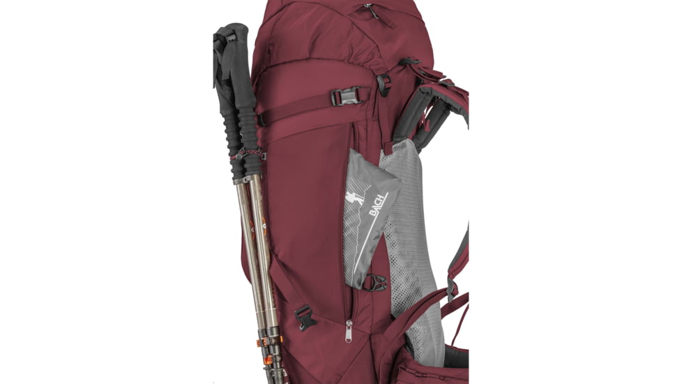 BACH Daydream 50 Pack, Red dahlia, Long, 2899297357024-long