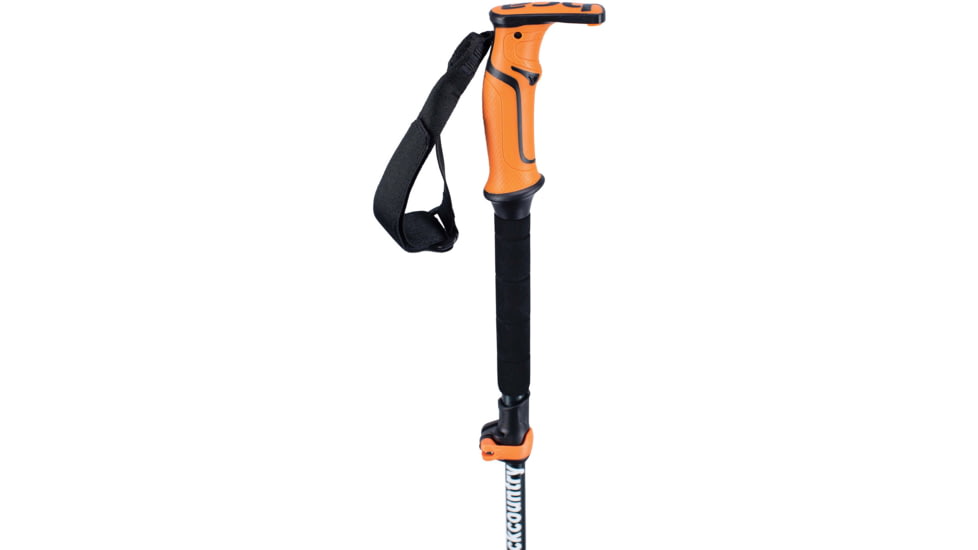 Backcountry Access Scepter 4S Pole, Raw, C2005008010