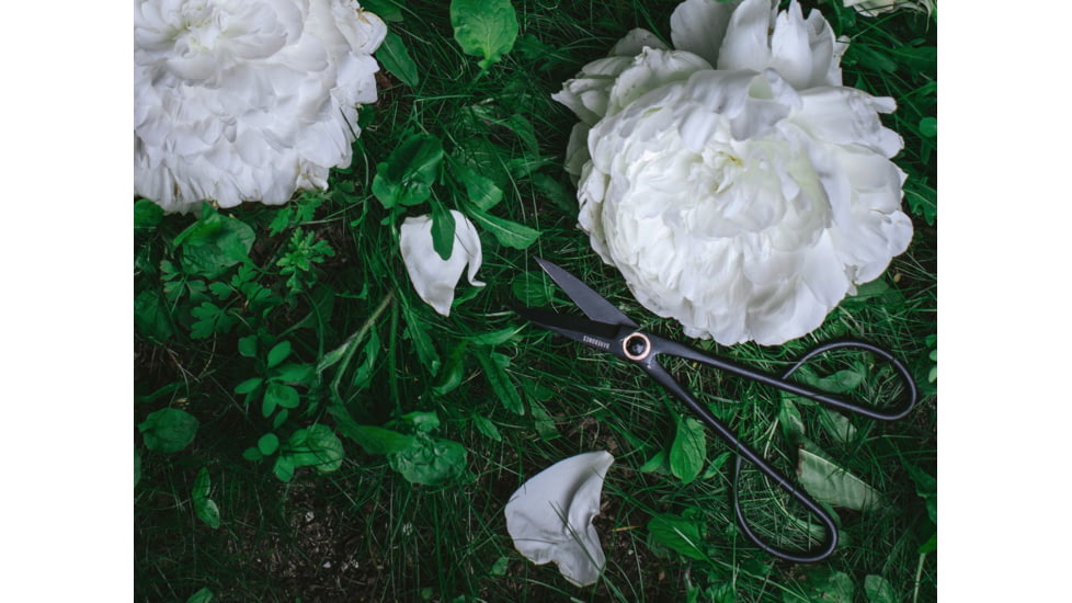 Barebones Artisan Trimming Shears, Stainless Steel, GDN-048