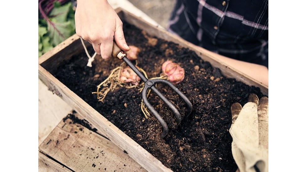 Barebones Cultivator Hand Tool, Wooden Handle, Heat-Treated Stainless Steel Blade, GDN-090