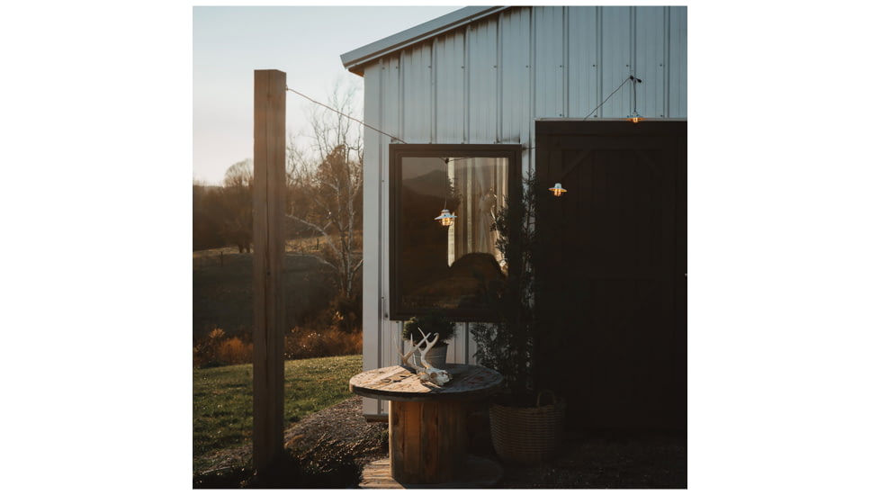 Barebones Edison Pendant Light BARE210