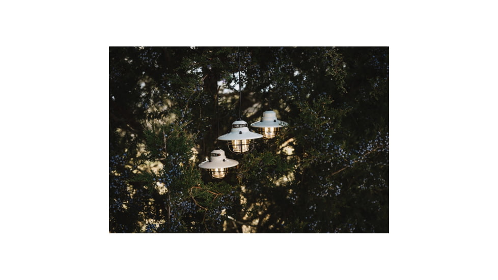 Barebones Edison String Lights