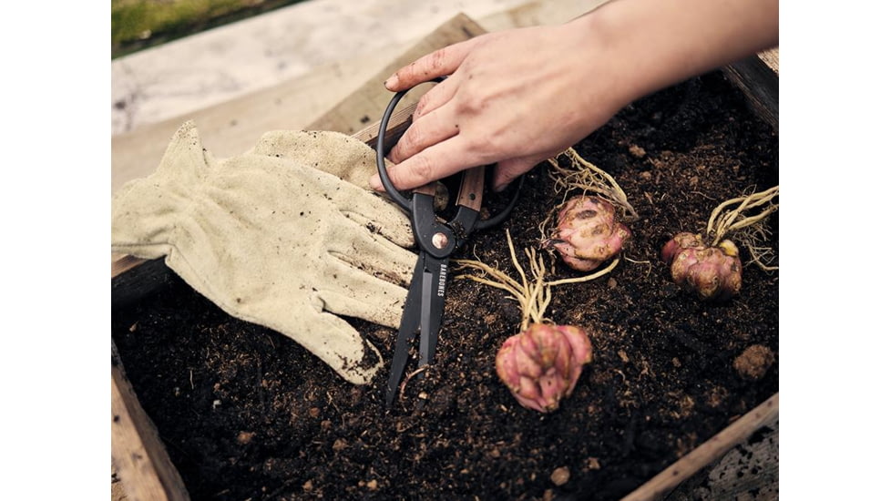 Barebones Large Scissors, Wooden Handle, 4in Heat-Treated Stainless Steel Blade, GDN-058