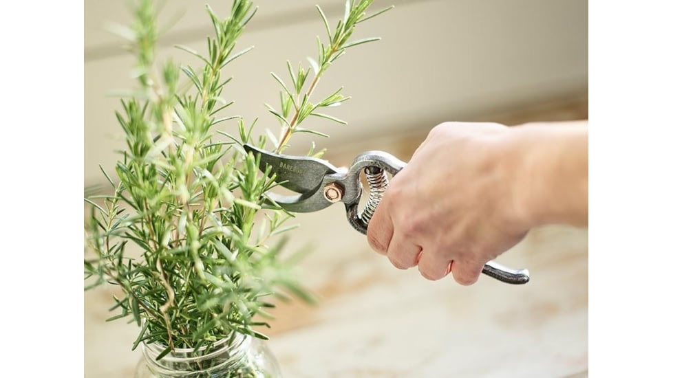 Barebones Pruner, Metal, 8in x 2.95in x 1.25in, GDN-051