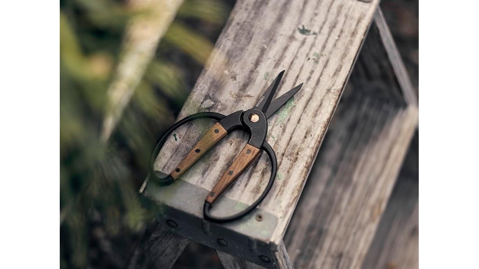 Barebones Small Scissors, Wooden Handle, 2in Heat-Treated Stainless Steel Blade, GDN-059