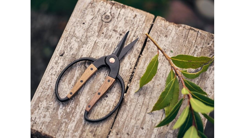 Barebones Small Scissors, Wooden Handle, 2in Heat-Treated Stainless Steel Blade, GDN-059