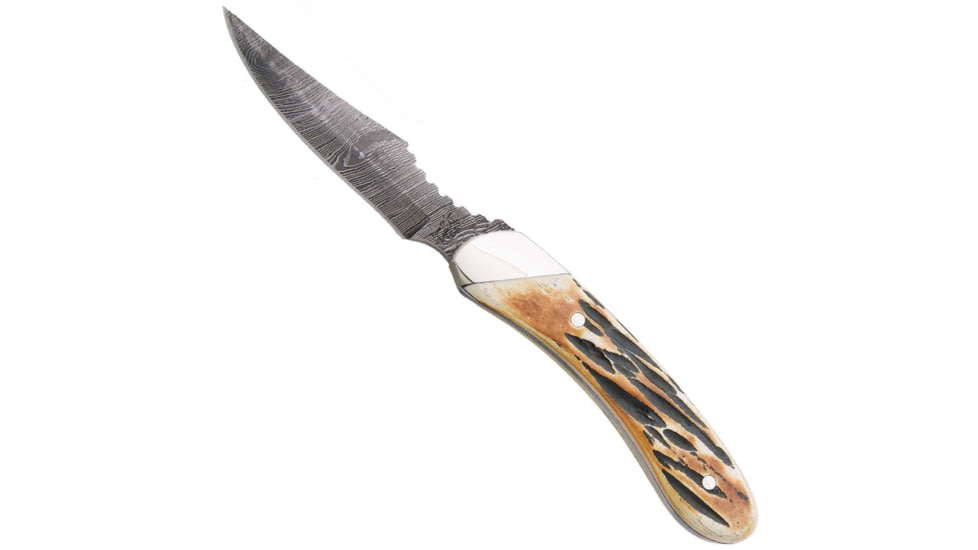 Bear and Son Knives Caper Fixed Blade Knife, 2.5in, Damascus Steel, Genuine India Stag Bone Handle w/Leather Sheath, 5009D