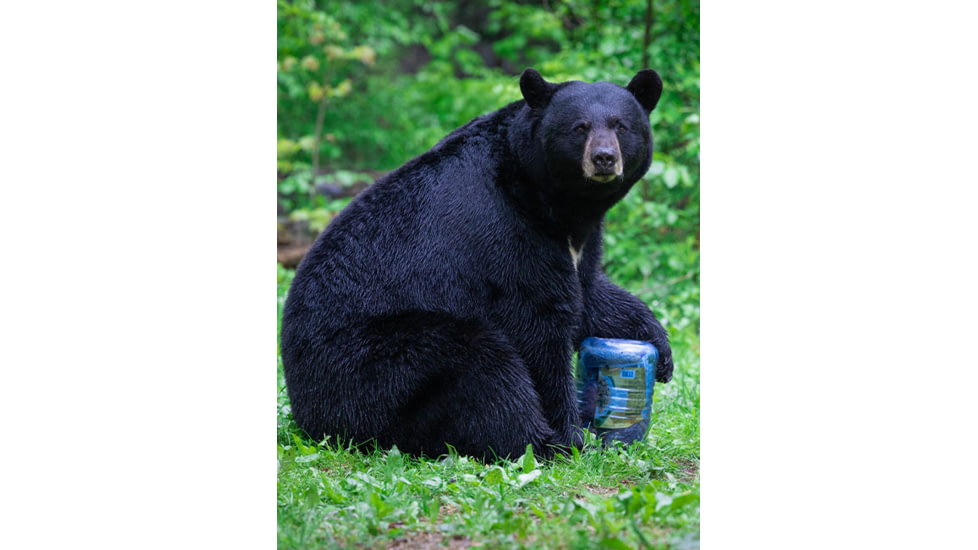 BearVault Journey Bear Resistant Food Canister, Transparent Blue, 3 Gal, BV500