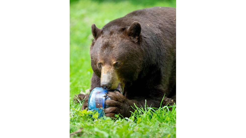 BearVault Sprint Bear Resistant Food Canister, Transparent Blue, 1.3 Gal, BV425