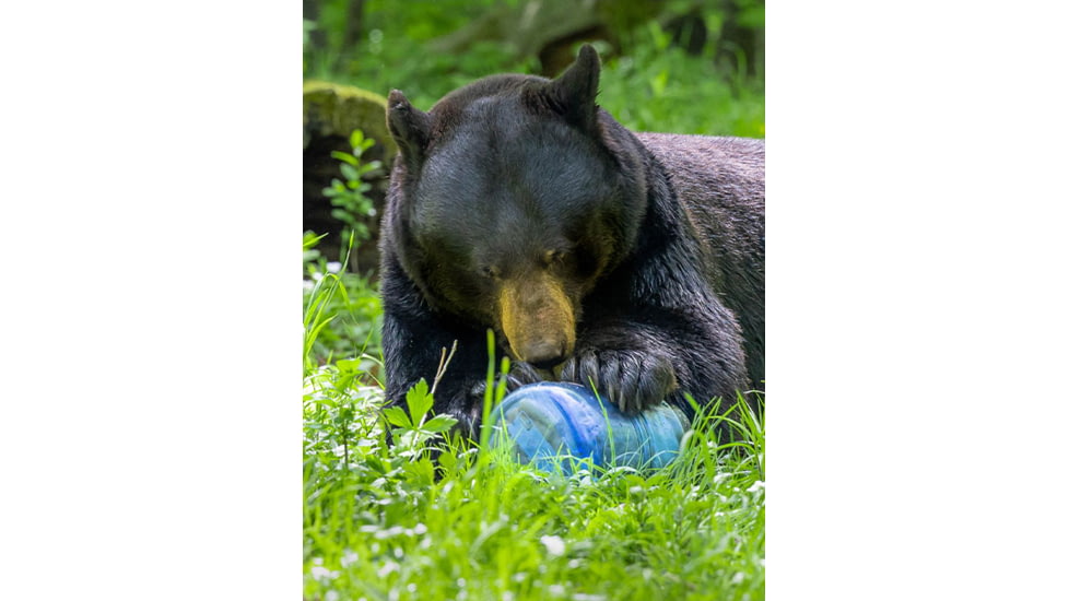 BearVault Trek Bear Resistant Food Canister, Transparent Blue, 2.5 Gal, BV475