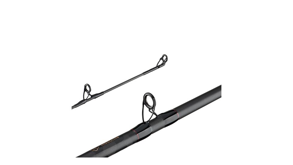 Berkley BCLR601M-PG BER C LIGHTNING ROD 6FMPG 18 1428999